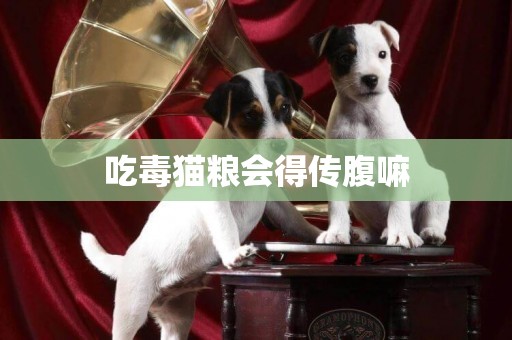 吃毒貓糧會得傳腹嘛