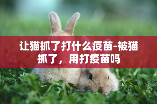 讓貓抓了打什么疫苗-被貓抓了，用打疫苗嗎