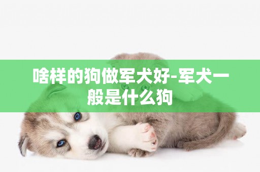 啥樣的狗做軍犬好-軍犬一般是什么狗