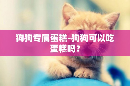 狗狗專屬蛋糕-狗狗可以吃蛋糕嗎？