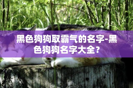 黑色狗狗取霸氣的名字-黑色狗狗名字大全？