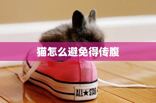 貓怎么避免得傳腹
