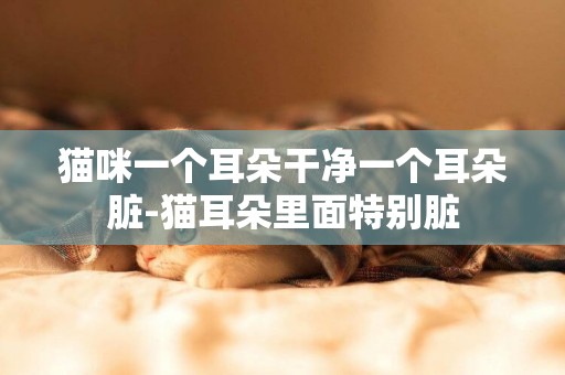貓咪一個耳朵干凈一個耳朵臟-貓耳朵里面特別臟