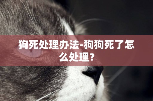 狗死處理辦法-狗狗死了怎么處理？
