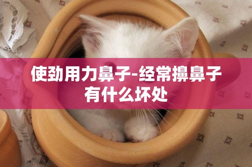 使勁用力鼻子-經常擤鼻子有什么壞處