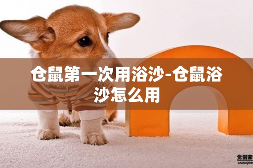 倉鼠第一次用浴沙-倉鼠浴沙怎么用