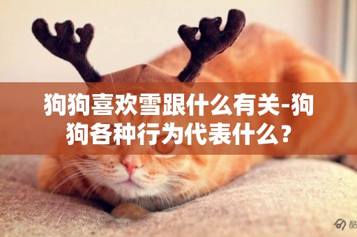 狗狗喜歡雪跟什么有關-狗狗各種行為代表什么？