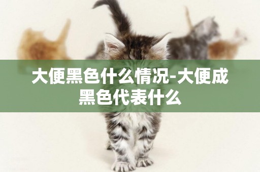 大便黑色什么情況-大便成黑色代表什么