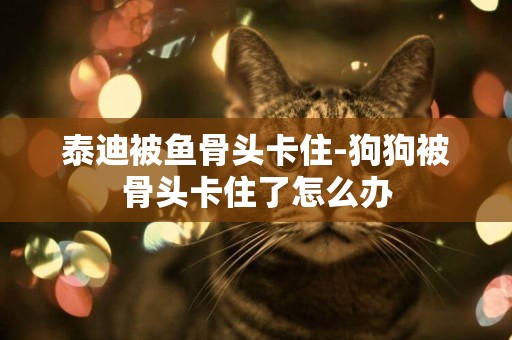 泰迪被魚骨頭卡住-狗狗被骨頭卡住了怎么辦