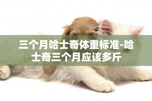 三個月哈士奇體重標準-哈士奇三個月應該多斤