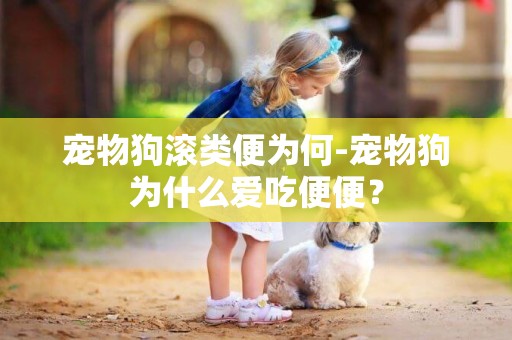 寵物狗滾類便為何-寵物狗為什么愛吃便便？