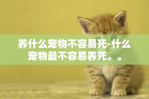 養什么寵物不容易死-什么寵物最不容易養死。。