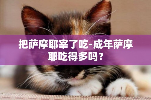 把薩摩耶宰了吃-成年薩摩耶吃得多嗎？