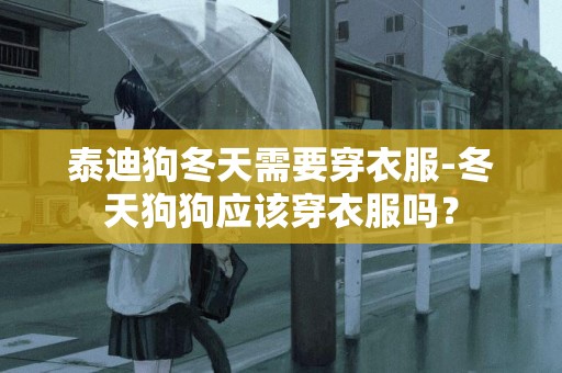 泰迪狗冬天需要穿衣服-冬天狗狗應該穿衣服嗎？