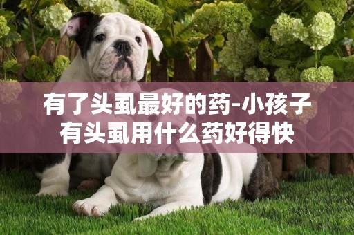 有了頭虱最好的藥-小孩子有頭虱用什么藥好得快