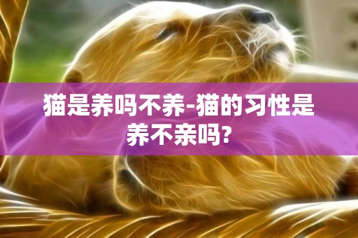 貓是養嗎不養-貓的習性是養不親嗎?
