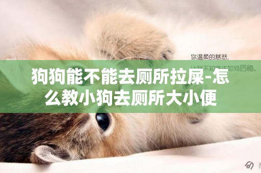 狗狗能不能去廁所拉屎-怎么教小狗去廁所大小便