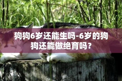 狗狗6歲還能生嗎-6歲的狗狗還能做絕育嗎？