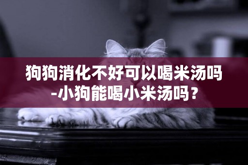 狗狗消化不好可以喝米湯嗎-小狗能喝小米湯嗎？