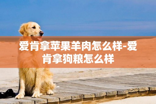 愛肯拿蘋果羊肉怎么樣-愛肯拿狗糧怎么樣