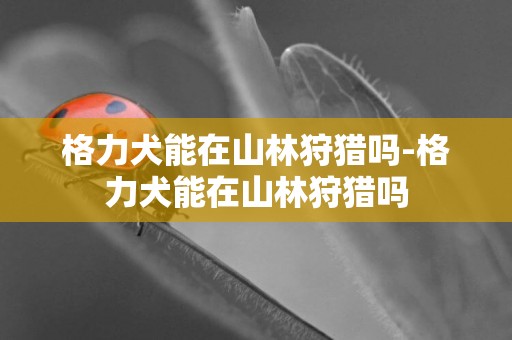 格力犬能在山林狩獵嗎-格力犬能在山林狩獵嗎