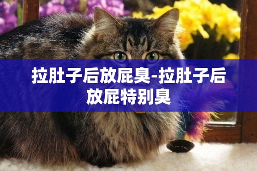 拉肚子后放屁臭-拉肚子后放屁特別臭