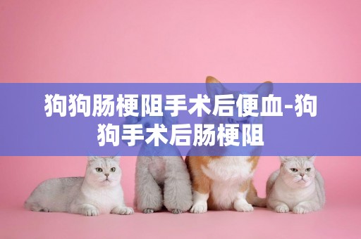 狗狗腸梗阻手術后便血-狗狗手術后腸梗阻