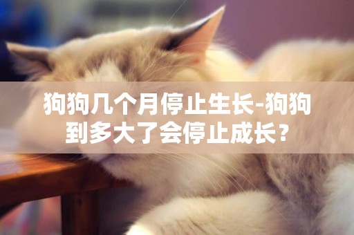 狗狗幾個月停止生長-狗狗到多大了會停止成長？