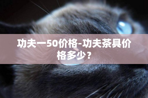 功夫一50價格-功夫茶具價格多少？