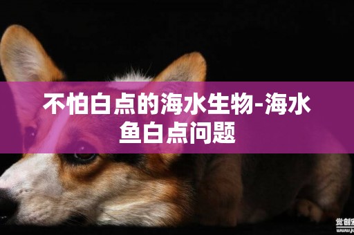 不怕白點的海水生物-海水魚白點問題