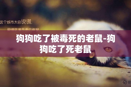 狗狗吃了被毒死的老鼠-狗狗吃了死老鼠