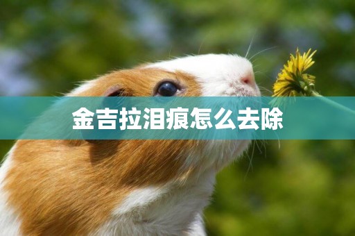 金吉拉淚痕怎么去除