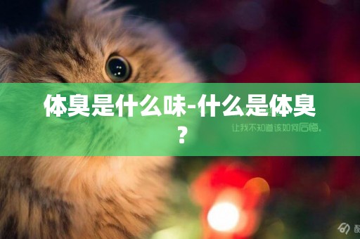 體臭是什么味-什么是體臭？