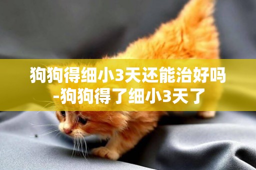 狗狗得細小3天還能治好嗎-狗狗得了細小3天了