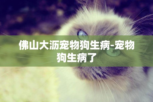 佛山大瀝寵物狗生病-寵物狗生病了