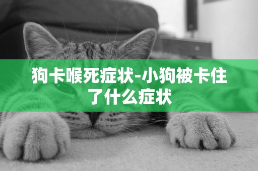 狗卡喉死癥狀-小狗被卡住了什么癥狀