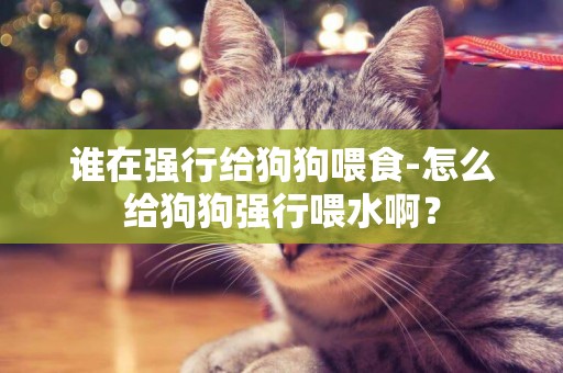 誰在強行給狗狗喂食-怎么給狗狗強行喂水啊？