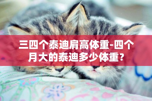 三四個泰迪肩高體重-四個月大的泰迪多少體重？