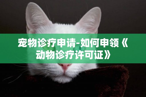 寵物診療申請-如何申領《動物診療許可證》