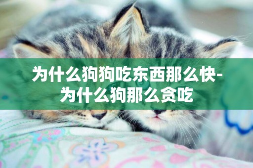 為什么狗狗吃東西那么快-為什么狗那么貪吃
