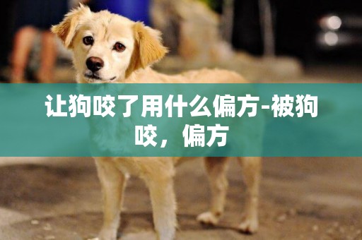 讓狗咬了用什么偏方-被狗咬，偏方