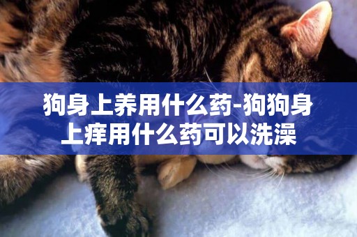 狗身上養用什么藥-狗狗身上癢用什么藥可以洗澡