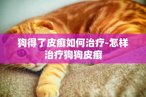 狗得了皮癬如何治療-怎樣治療狗狗皮癬