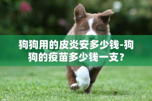 狗狗用的皮炎安多少錢-狗狗的疫苗多少錢一支？