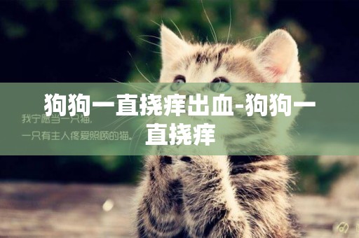 狗狗一直撓癢出血-狗狗一直撓癢