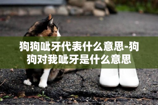 狗狗呲牙代表什么意思-狗狗對我呲牙是什么意思