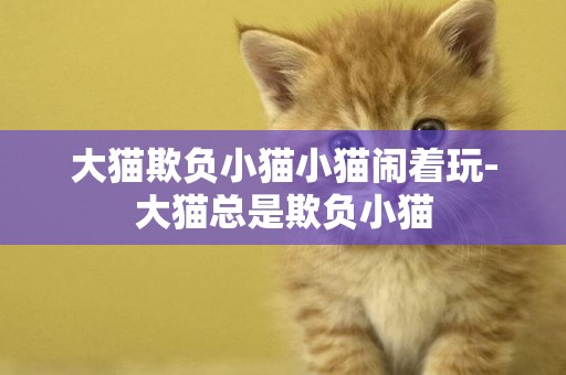 大貓欺負小貓小貓鬧著玩-大貓總是欺負小貓