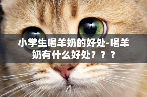 小學生喝羊奶的好處-喝羊奶有什么好處？？？