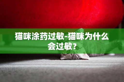 貓咪涂藥過敏-貓咪為什么會過敏？