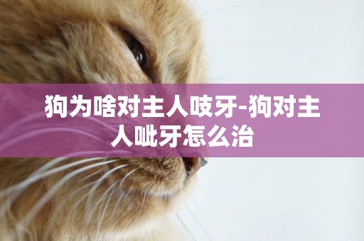 狗為啥對主人吱牙-狗對主人呲牙怎么治
